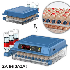 Inkubator za 56 jaja sa kontrolom vlage i temperature