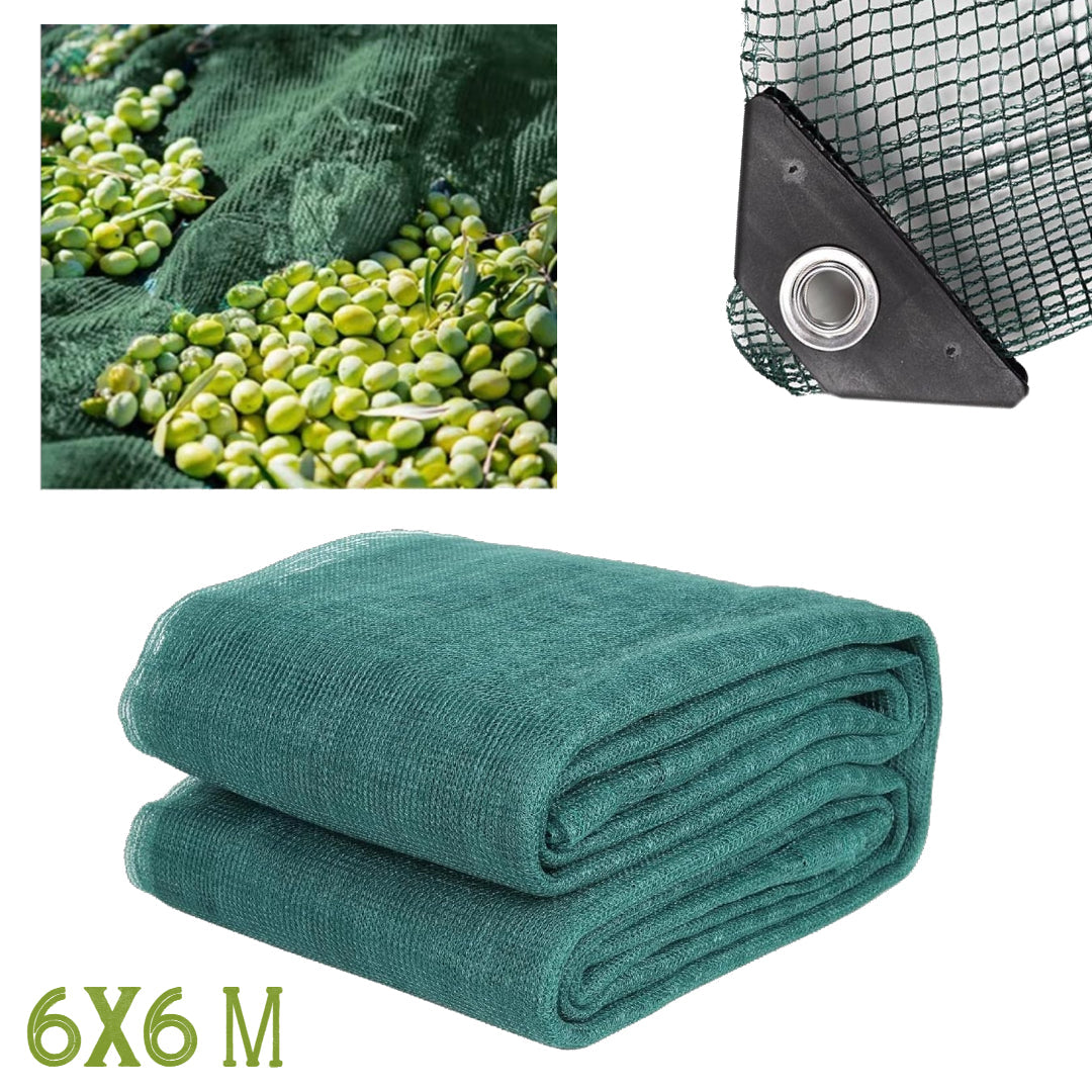 Mreža za berbu maslina 6x6m sa zakovicama